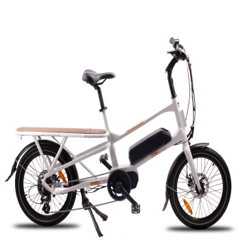 MOTORLIFE/OEM brand 36V 250w 20inch cargo electric bike with mid motor